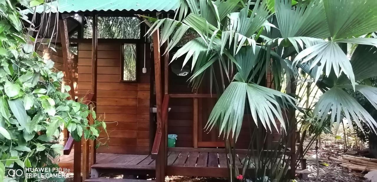 פוארטו מלדונדו Passiflora Lodge Tambopata מראה חיצוני תמונה