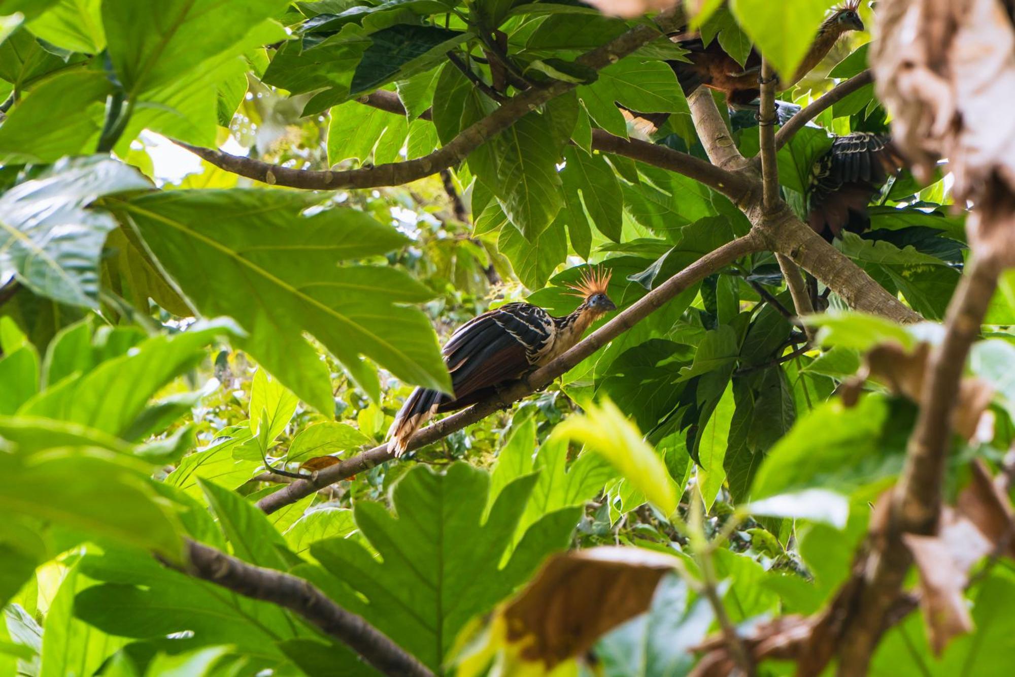 בית הארחה פוארטו מלדונדו 	Passiflora Camp מראה חיצוני תמונה