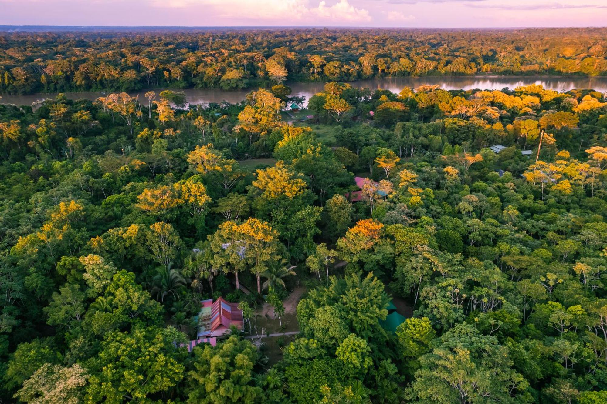 פוארטו מלדונדו Passiflora Lodge Tambopata מראה חיצוני תמונה