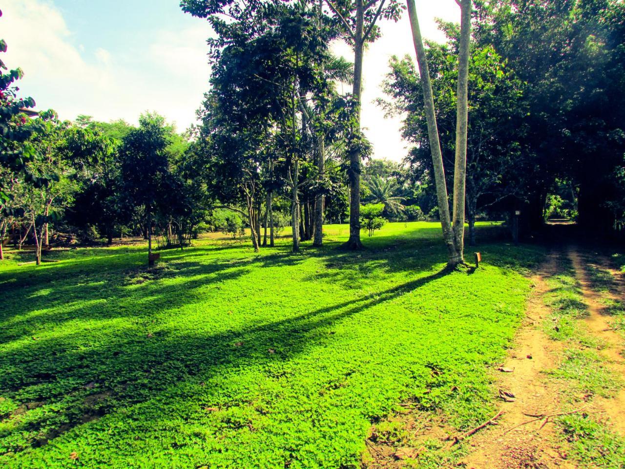 פוארטו מלדונדו Passiflora Lodge Tambopata מראה חיצוני תמונה